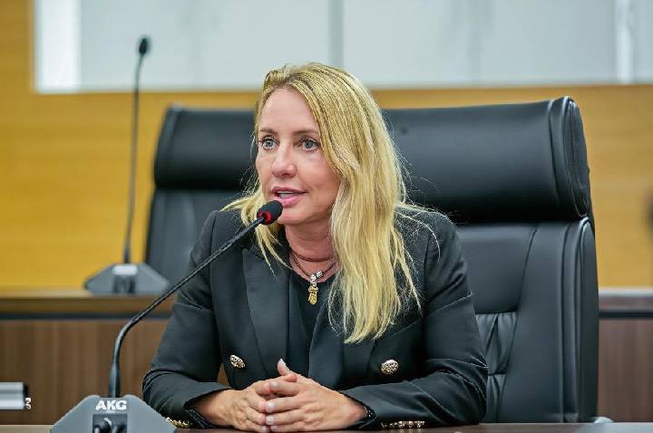 Ieda Chaves propõe Observatório da Mulher para viabilizar ações contra a violência de gênero