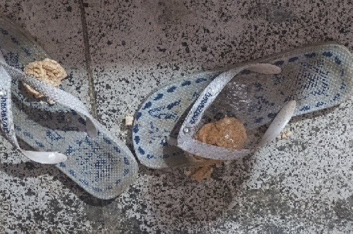 Mulher morre após passar mal em casa na zona leste