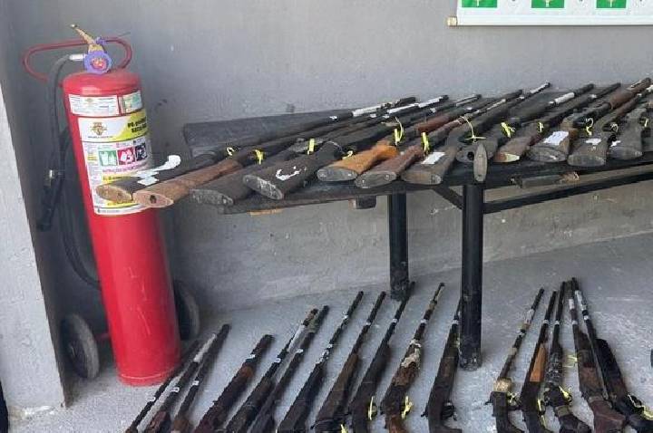 PF destrói 80 armas de fogo no Amazonas