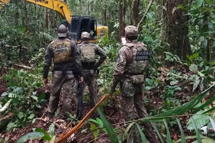PF e ICMBio desativam garimpo ilegal em reserva no Amazonas