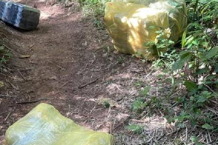 PF e PM/PR apreendem cerca de 100 kg de maconha no Paraná