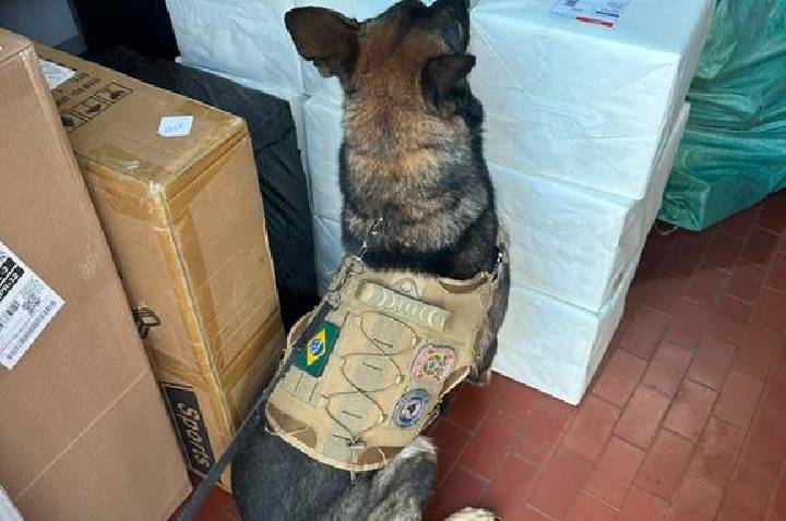 PF faz apreensão de 130 kg de maconha em Foz do Iguaçu/PR