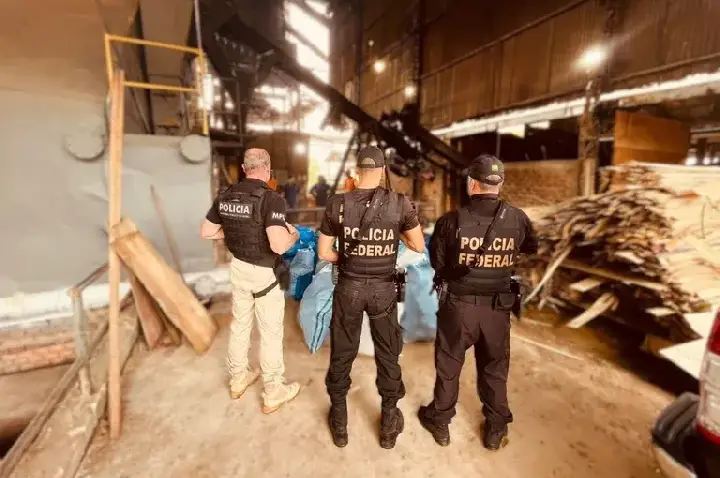 PF Incinera mais de 710kg de drogas em Rondônia