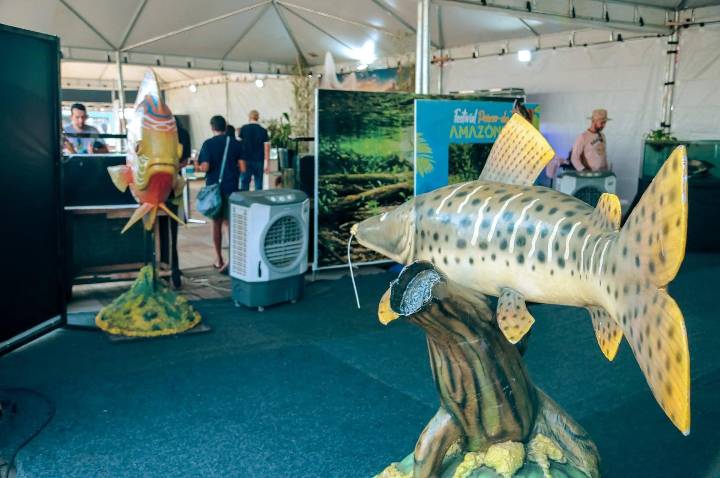 Piscicultura, peixes da Amazônia ganham novos caminhos para o desenvolvimento regional