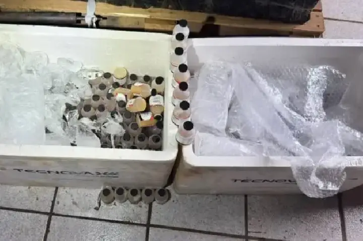 Polícia Militar apreende frascos de vacina veterinária contrabandeados em Rondônia