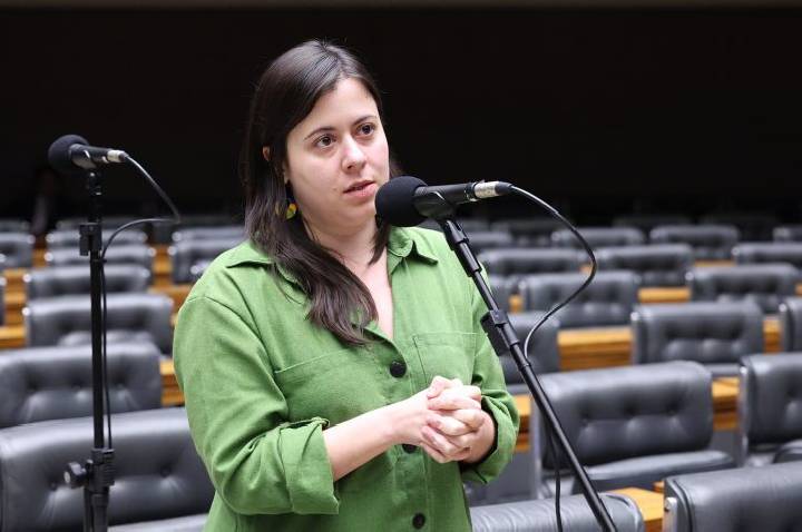 Projeto proíbe acesso a armas de fogo para quem responde por medida protetiva de urgência