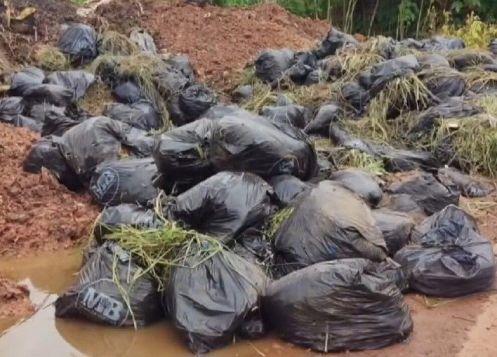 Prefeitura contrata empresa por mais de R$ 30 milhões e ela joga lixo em terrenos baldios