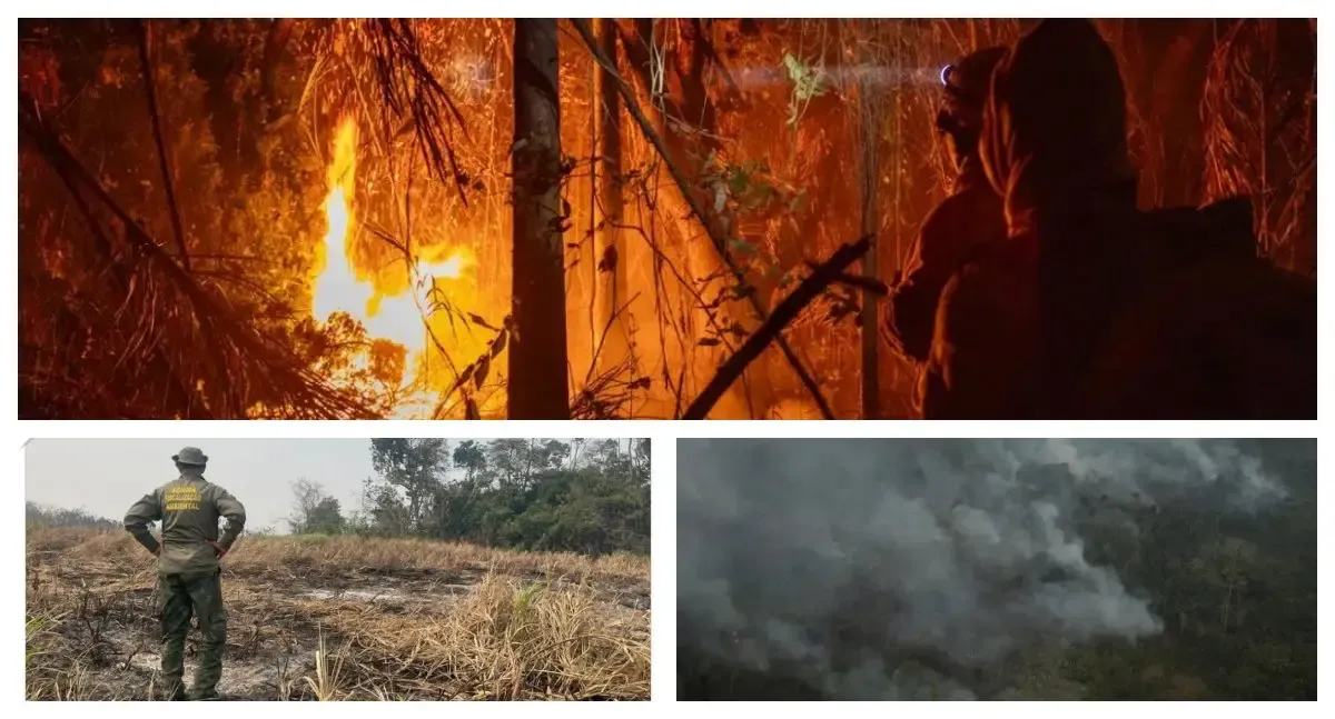 Amazônia: queimadas têm queda de 72%