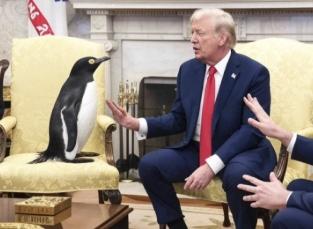 Trump usou o ChatGPT para calcular as tarifas?