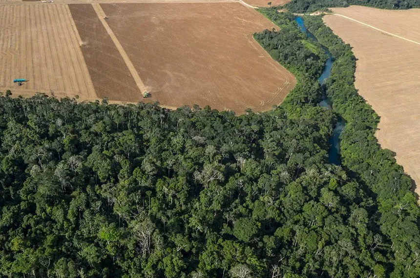 Licenciamento Ambiental: Semana decisiva no Senado define futuro de obras e sustentabilidade