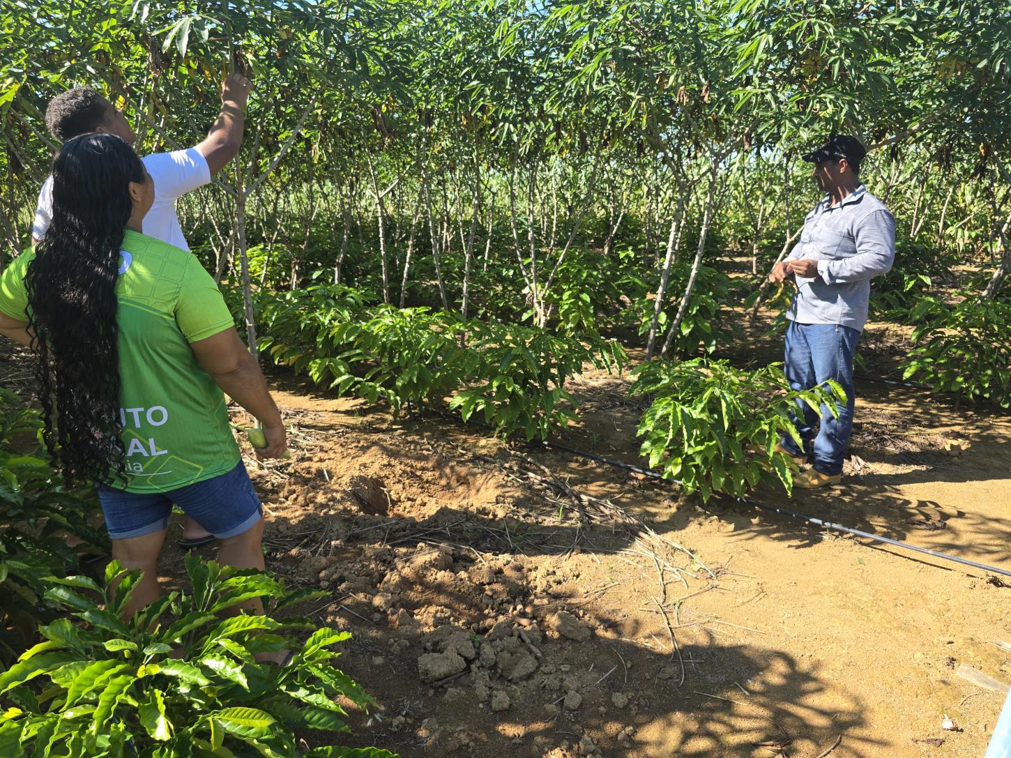 O Agro em boas mãos: Família unida aposta no futuro com apoio do parlamento e novas perspectivas com produção de café