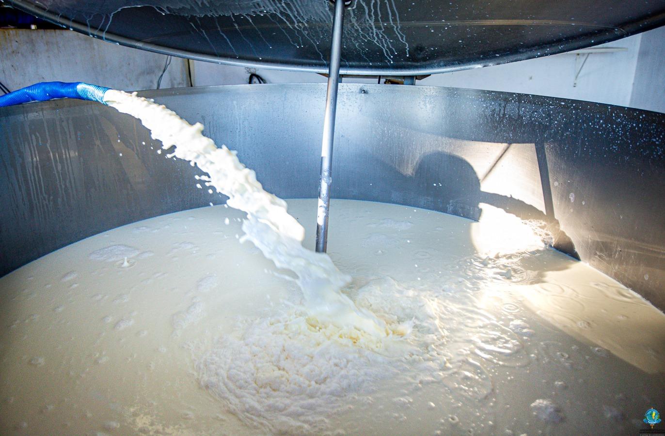 O Agro em boas mãos: implementos agrícolas impulsionam a produção de leite em Ouro Preto do Oeste