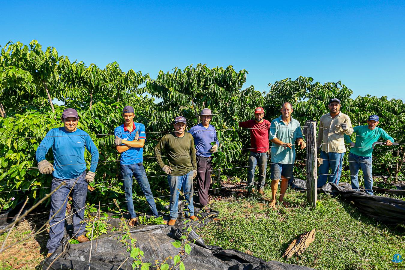 O Agro em boas mãos: produção de café dobra e realiza sonhos em Nova Brasilândia do Oeste