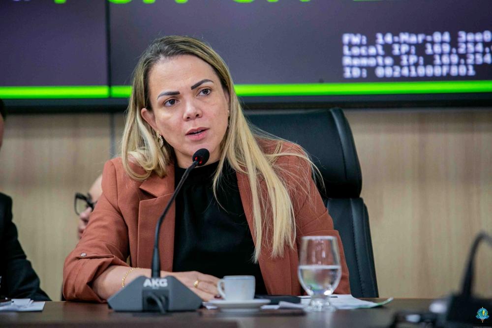 Deputada Cláudia de Jesus reforça mobilização por valorização dos servidores da saúde em reunião da Comissão