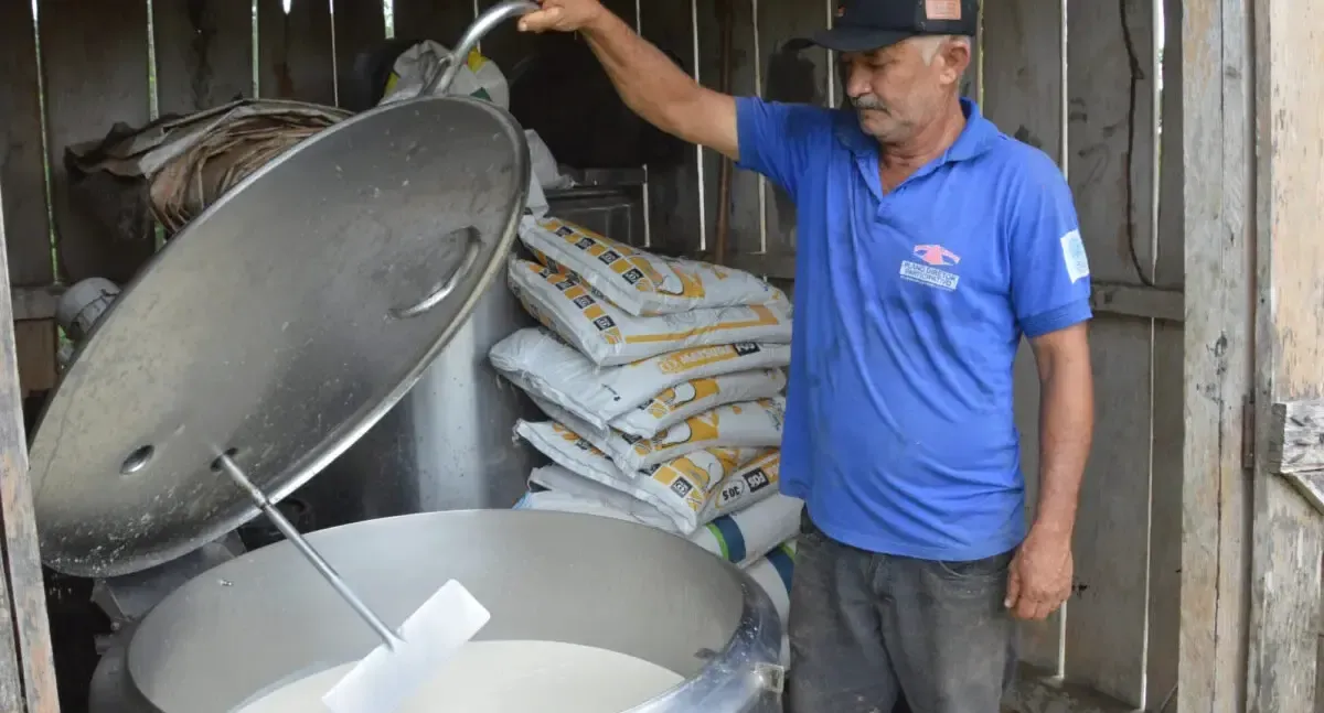 Legislação impulsiona a produção agrícola e fortalece cadeias do leite e do café em Rondônia