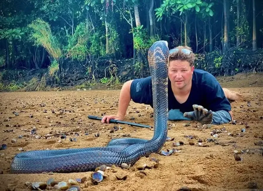 Morre Graham Dinkelman, youtuber sul-africano especialista em animais selvagens