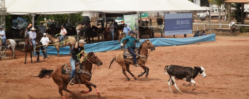 Cirone Deiró assegura recursos para Circuito de Provas Equestres