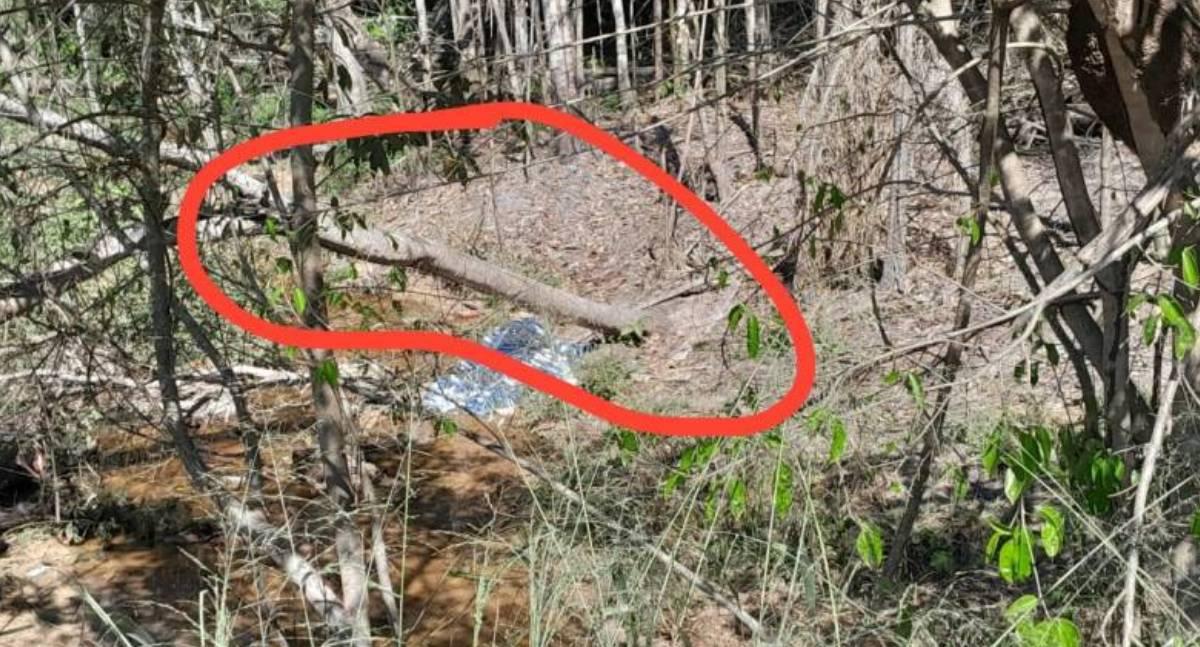 Motorista morre em acidente na BR-435 após pneu estourar