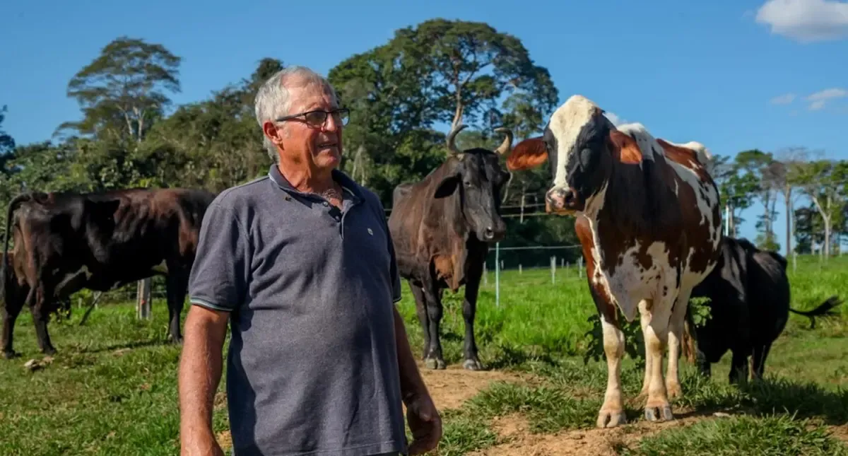 Vacas produzem mais leite em Rondônia com alimentação diferenciada e mudam a realidade do campo