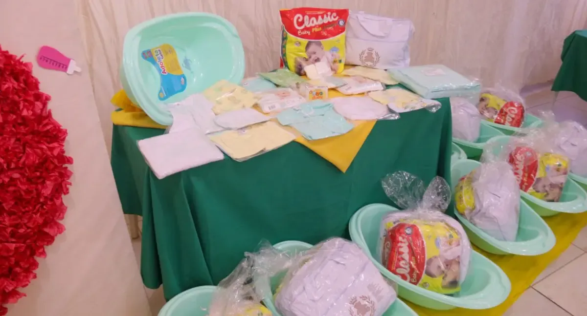 Assembleia Legislativa aprova recursos para o Programa Mamãe Cheguei em Rondônia