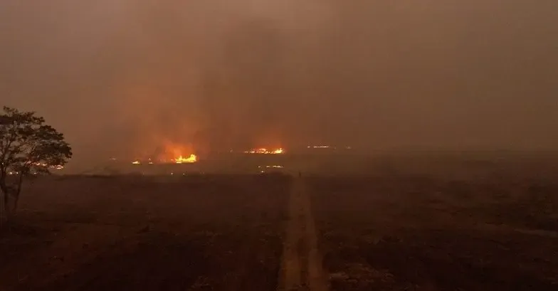 Direito à saúde e ao meio ambiente leva MPRO a cobrar ações contra queimadas em Rondônia