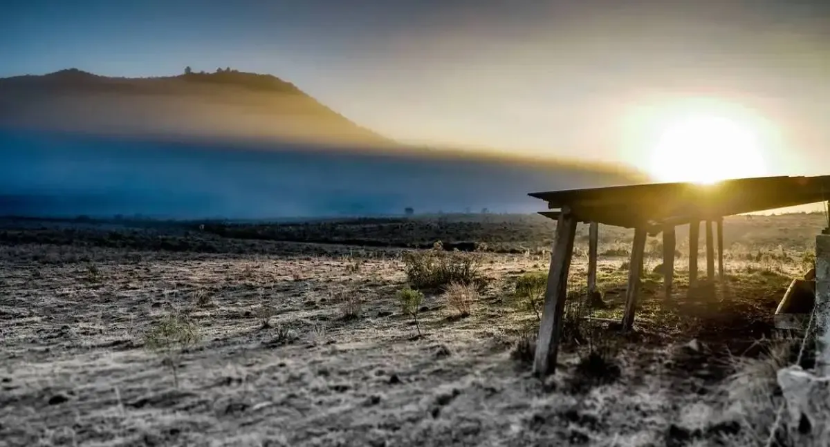 Governo cria crédito de R$ 12 bilhões para produtores