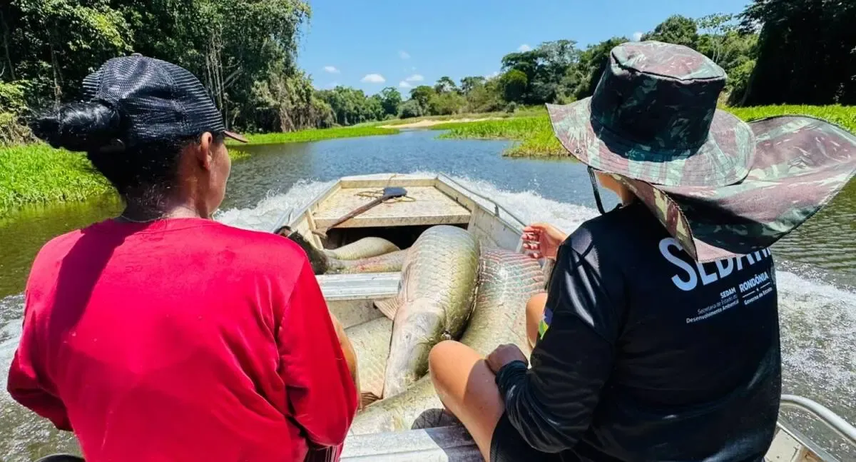 Pesca manejada 2025 retira 2,5 toneladas de peixes do Rio Cautário e fortalece comunidades ribeirinhas