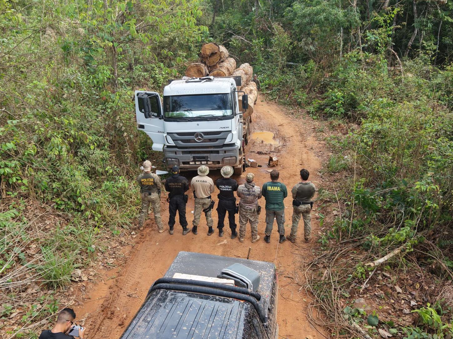 Polícia Federal destrói 10 caminhões durante ação contra extração de madeira em Terra Indígena