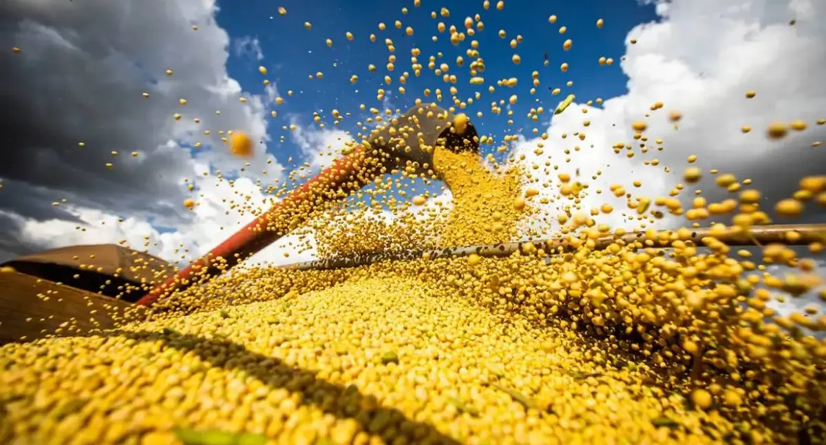 Valor da produção agrícola do Brasil tem queda em 2024