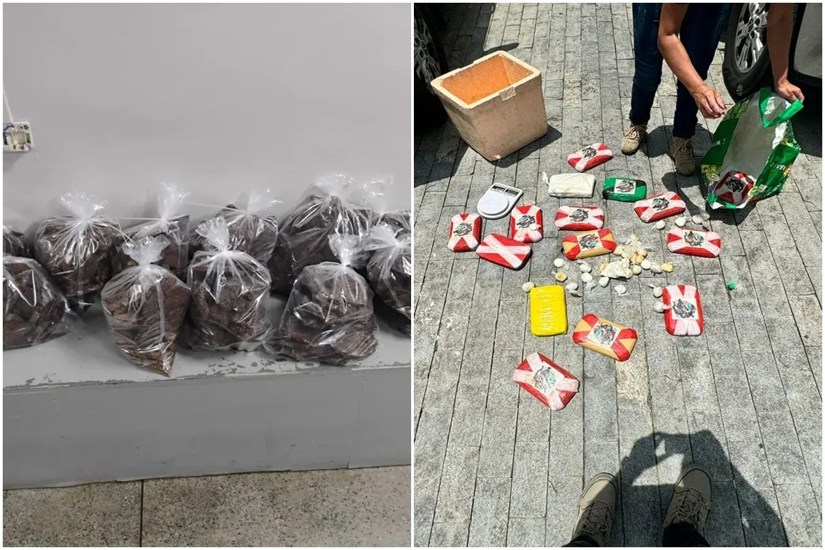 Casal é preso em mansão de luxo com 50 kg de cocaína negra avaliada em R$ 19,5 milhões