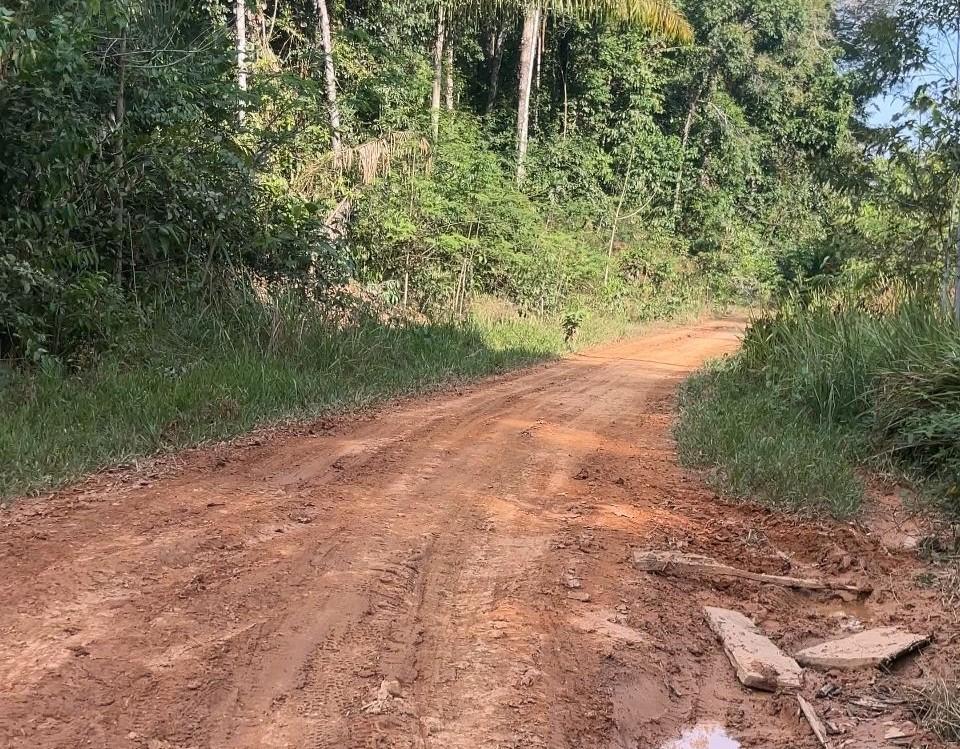 Deputado Alex Redano solicita melhorias na estrada de acesso ao Lago do Cuniã, em Porto Velho