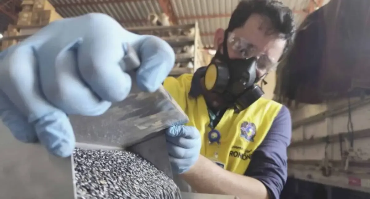 Fiscalização para combater fraudes na comercialização de sementes é intensificada pelo Governo de RO