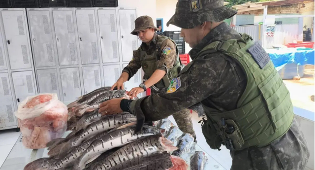 Polícia Ambiental apreende mais de 200 kg de pescado irregular em operação na BR-364