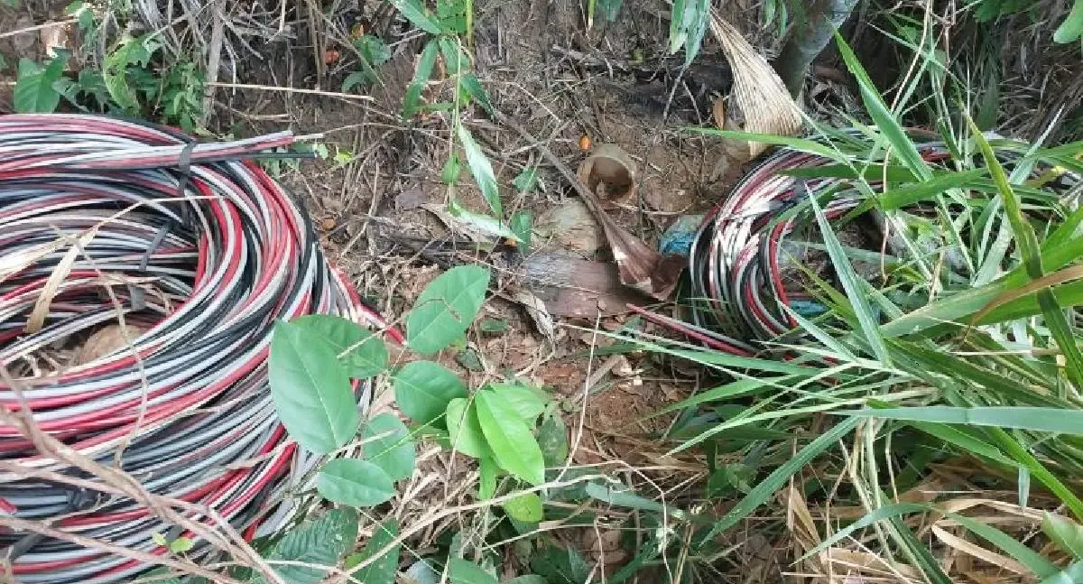 Polícia Militar encontra grande quantidade de fios escondidos em vegetação em Rolim de Moura