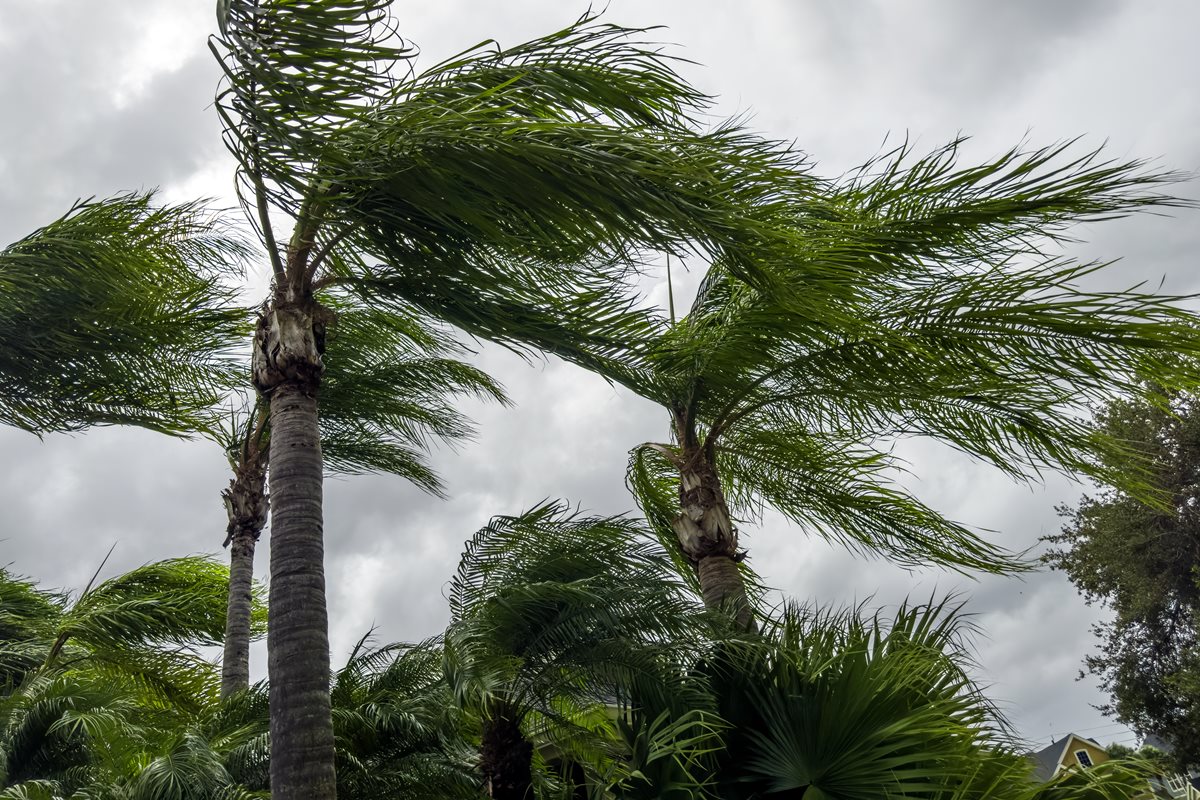Alerta vermelho: tempestades e ventania ameaçam o litoral de São Paulo