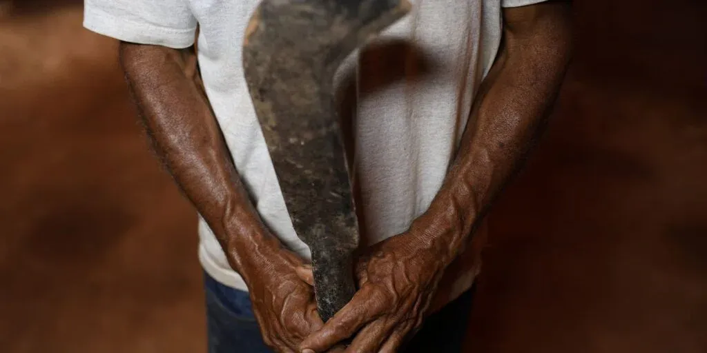 Desmatamento no Cerrado intensifica conflitos por terra e grilagem
