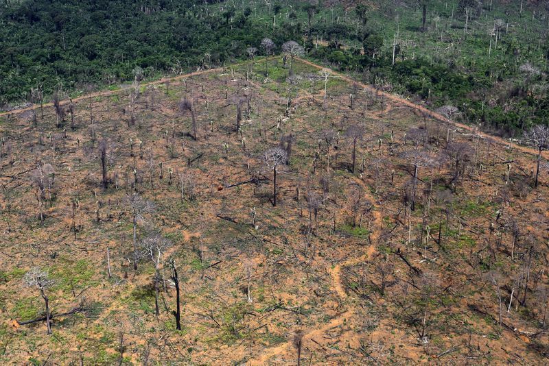 Greenpeace: é escandalosa a derrubada de vetos ao licenciamento ambiental