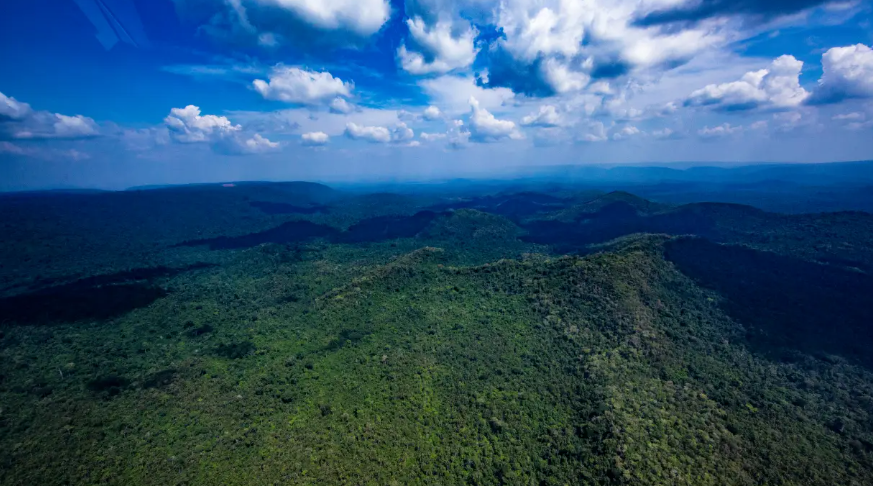 Noruega anuncia US$ 3 bilhões para o fundo de preservação de florestas tropicais