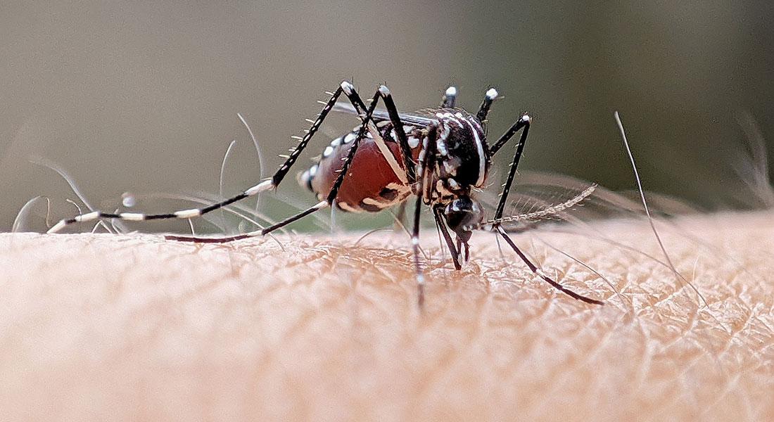 Porto Velho reduz casos de dengue em mais de 50% com ações integradas