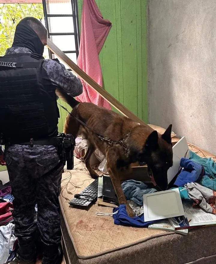 Suspeito morre e sete são presos durante operação integrada na região central de Rondônia
