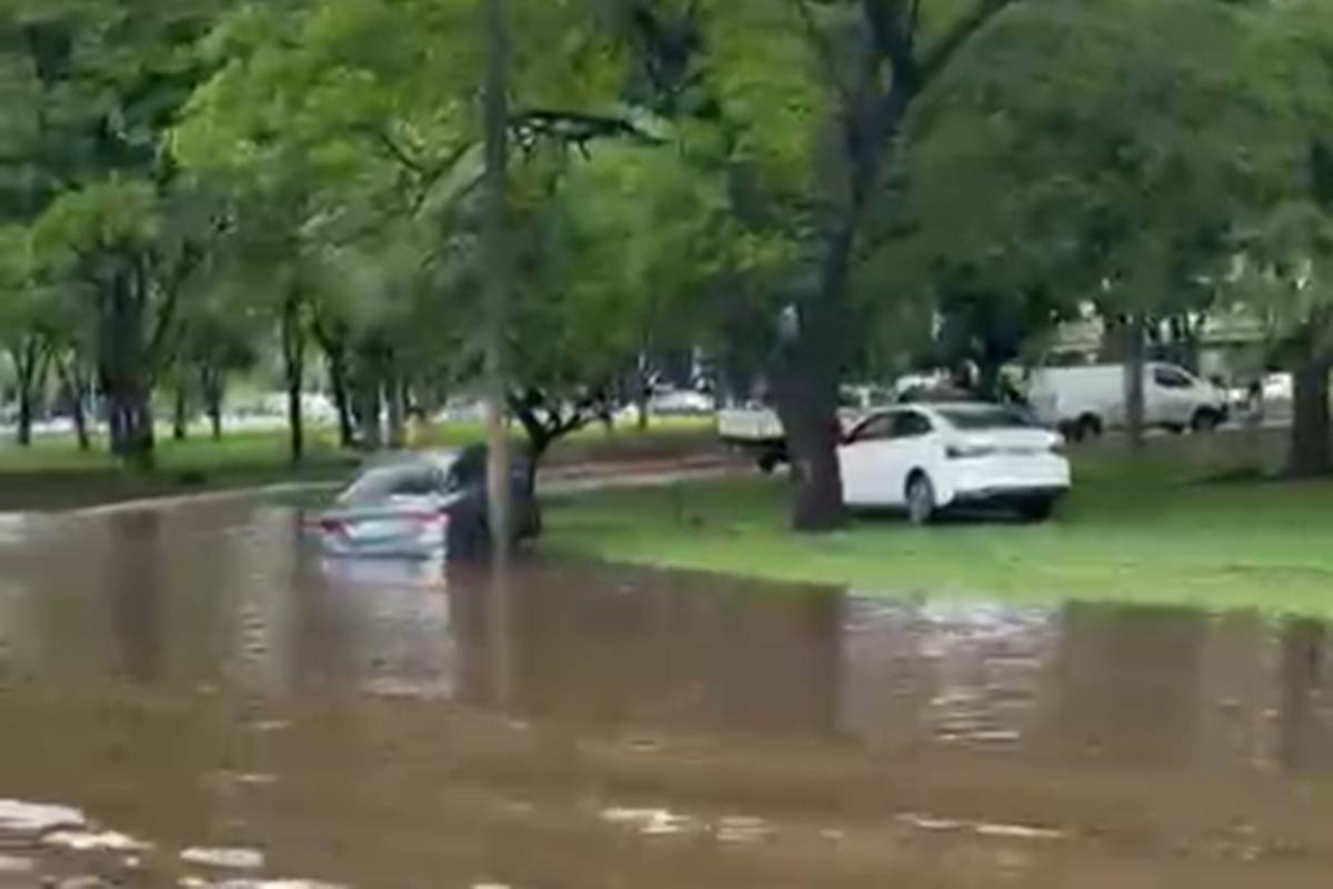Temporal em Brasília causa alagamento e queda de árvore na Asa Sul