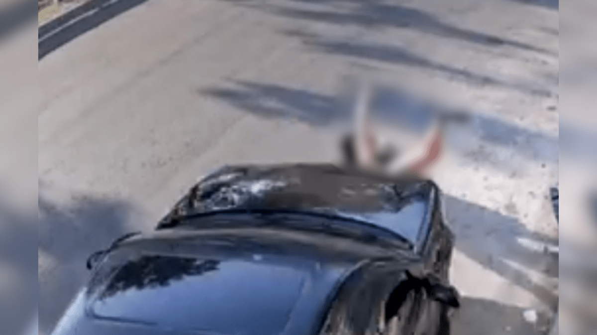 “Ficar sem as pernas por causa de um homem desse”, lamenta amiga