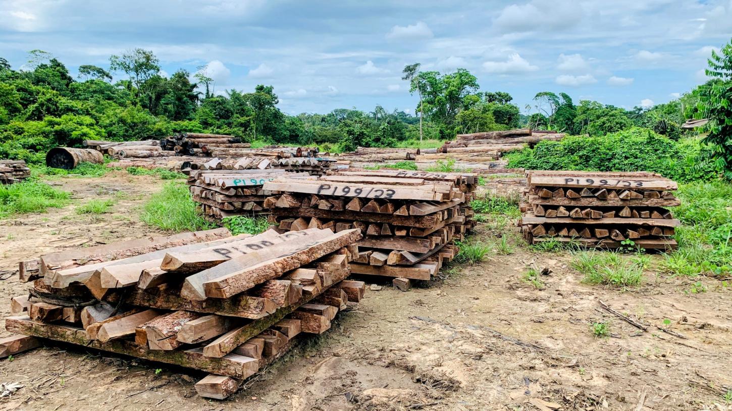 Madeira apreendida poderá ganhar destino social e ambiental em Rondônia