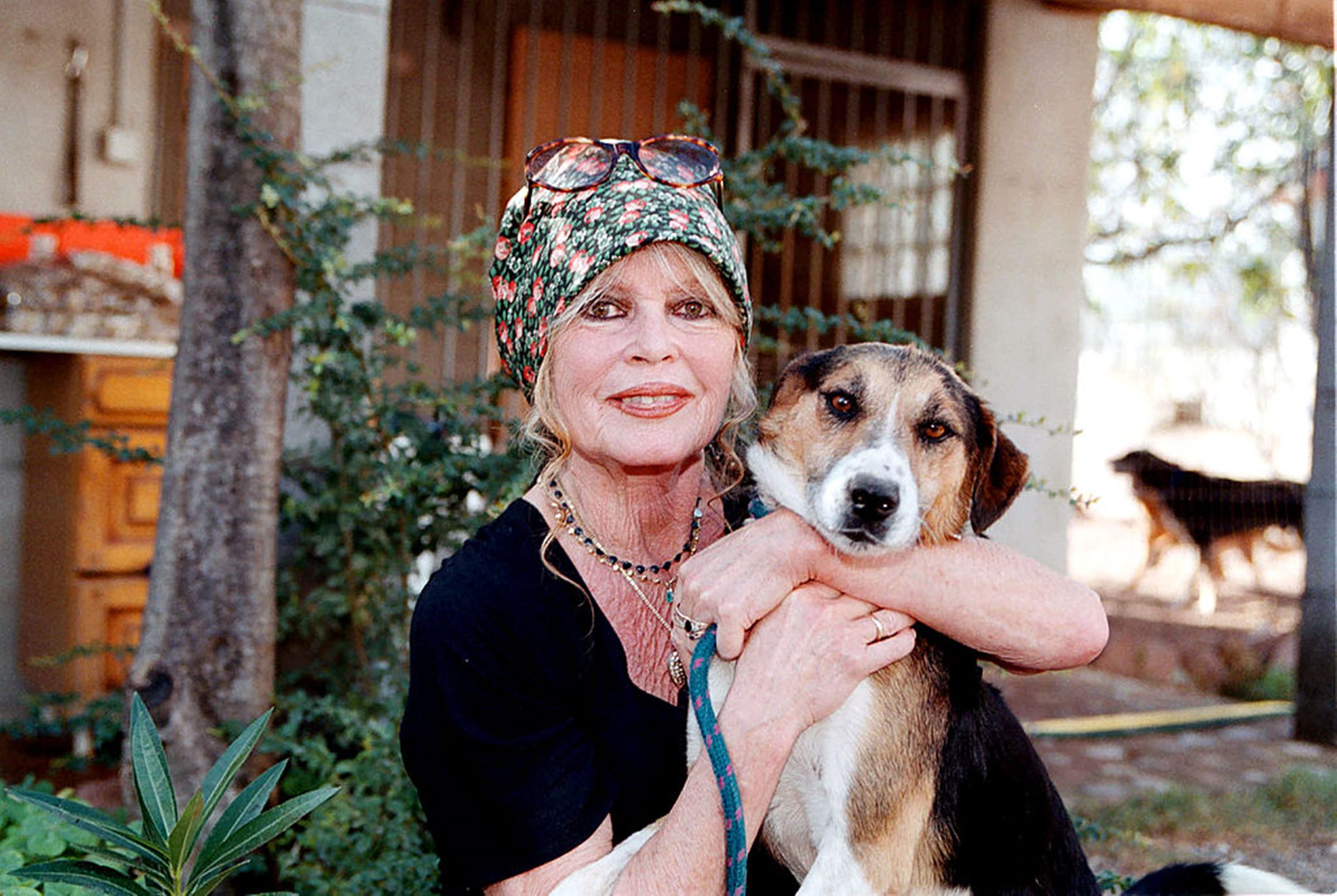 Morre Brigitte Bardot, ícone do cinema francês, aos 91 anos