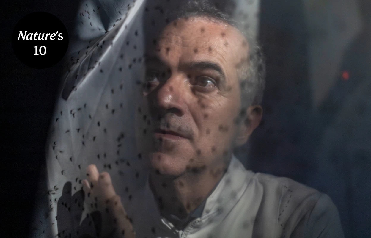 Quem é o brasileiro que criou o “Aedes do bem” e é destaque da Nature