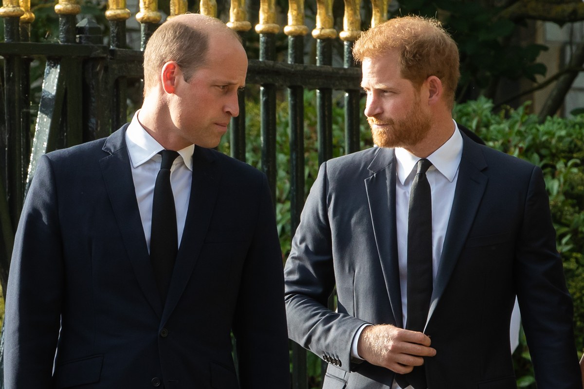 Saiba como a Copa do Mundo pode aproximar William e Harry