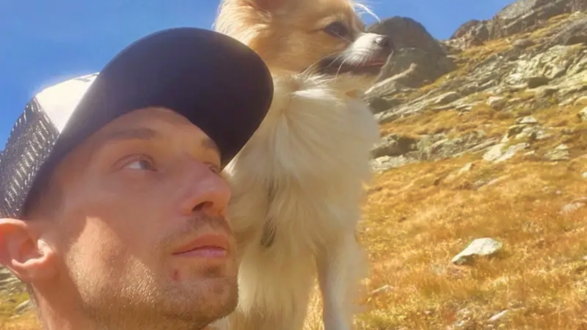 Herói de quatro patas: cão salva tutor que caiu em geleira na Suíça