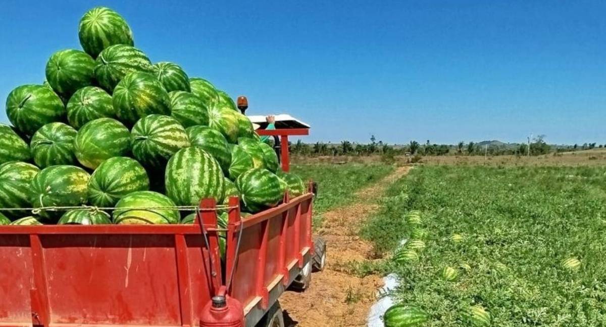 Edital destina R$ 131,9 milhões à regularização fundiária