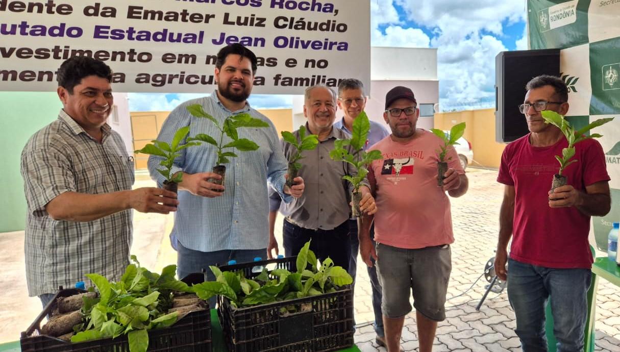 Jean Oliveira destina mais de 147 mil mudas de café para produtores de Rolim de Moura