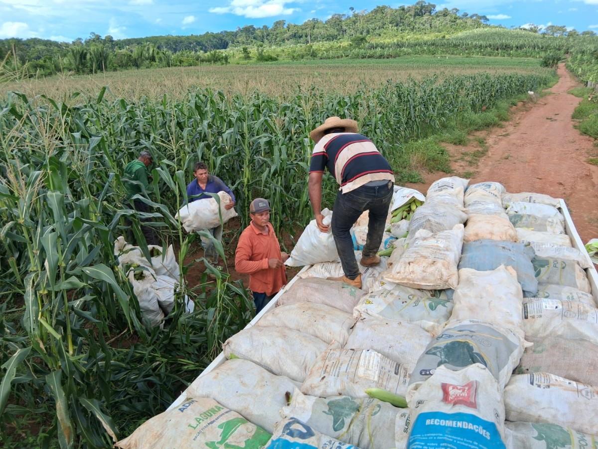No Dia do Agronegócio, Porto Velho destaca a força da agricultura familiar